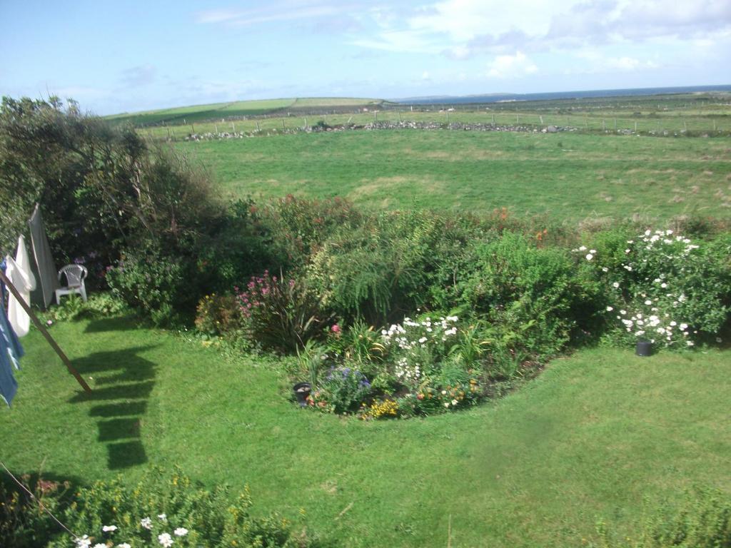 Fuchsia House Bed&Breakfast Connemara Renvyle Exterior foto